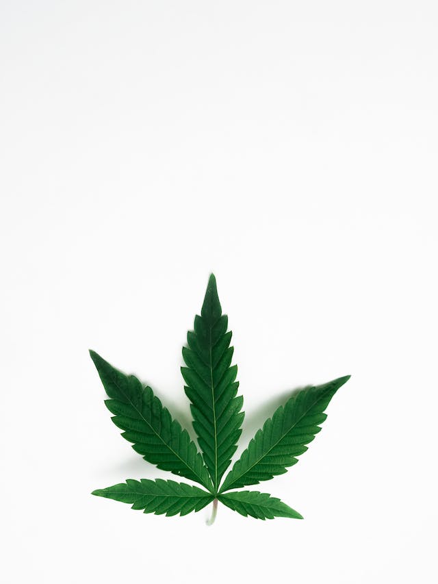 Cannabis et Spiritualité : Exploration de la Conscience Supérieure
